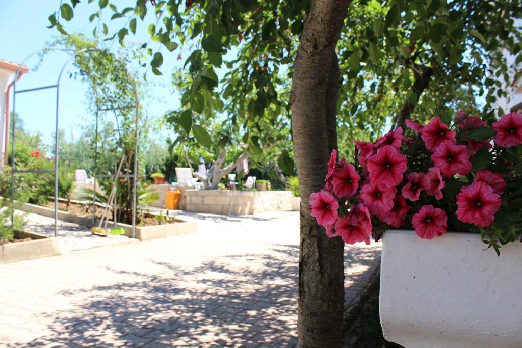 Gasthaus I Sapori Del Gargano Vieste Exterior foto